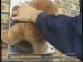 L ours Grumly