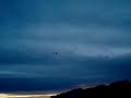 Sky Fly at Dusk Sky Fly at Dusk
