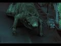 Random Creature Features-- with Amon Amarth Random Creature Features-- with Amon Amarth