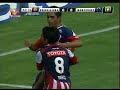 chivas 1 bigotes de brocha 1