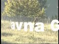 Croatia, Gorski kotar, Ravna Gora - srna Croatia, Gorski kotar, Ravna Gora - srna