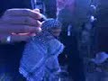MOV01112