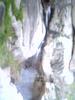 Bruco