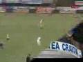 universitatea craiova IMN