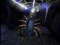 Beast Wars: Crossing the Rubicon Part 1