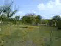 rastanak.html