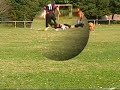 gamelle de ludo au foot montbrison 26 gamelle de ludo au foot montbrison 26