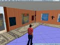 NCSU Organizational Culture Project in Second Life