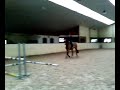 SV_A0061.mp4