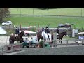 PSJ Medal Tryon, NC Hunter Jumper Horse For Sale