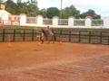 videos de mi yegua baya