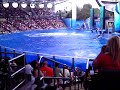 Shamu and Baby Shamu at Seaworld Orlando, FL Shamu and Baby Shamu at Seaworld Orlando, FL