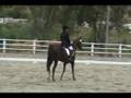 Teller Bayou & Doris Alvey, CDS Annual Chapter Show