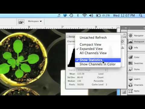 how to measure objects in photoshop