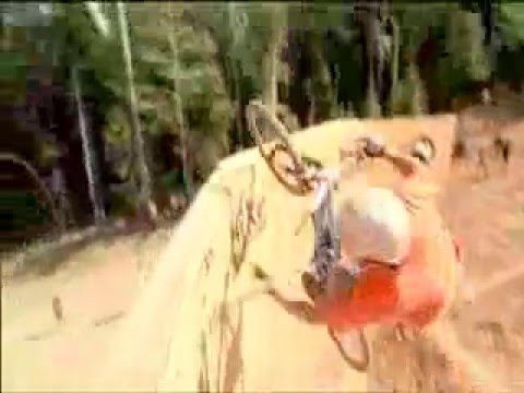 Extreme Freeride Mtn. Biking (cliff drops and more) Thumbnail of Video