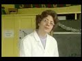 Chewin the fat school teacher funny scotland scotish haha class quailty superb