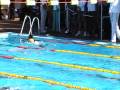 videos de 200 Estilos Ariadna CN las Palmas.Memorial Alfredo Kraus.