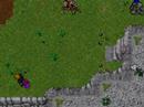 \"Dear Sister\" Tibia \"Dear Sister\" Tibia