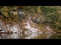 BTS Forest Battle BTS Forest Battle