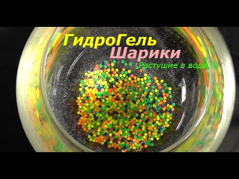 Как растут орбизы (гидрогелевые шарики) - RepeatYT - Twoje utwory w petli!