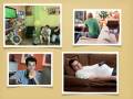 videos de Week 14