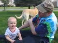 Animal sounds