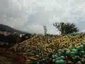 El AguAnte FoRTiN.............