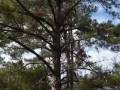 DoubleCreek.mp4