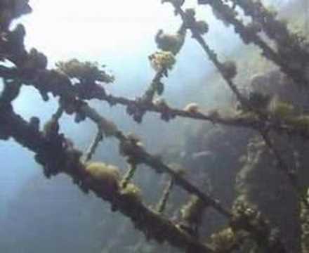 Wreck of the Umbria