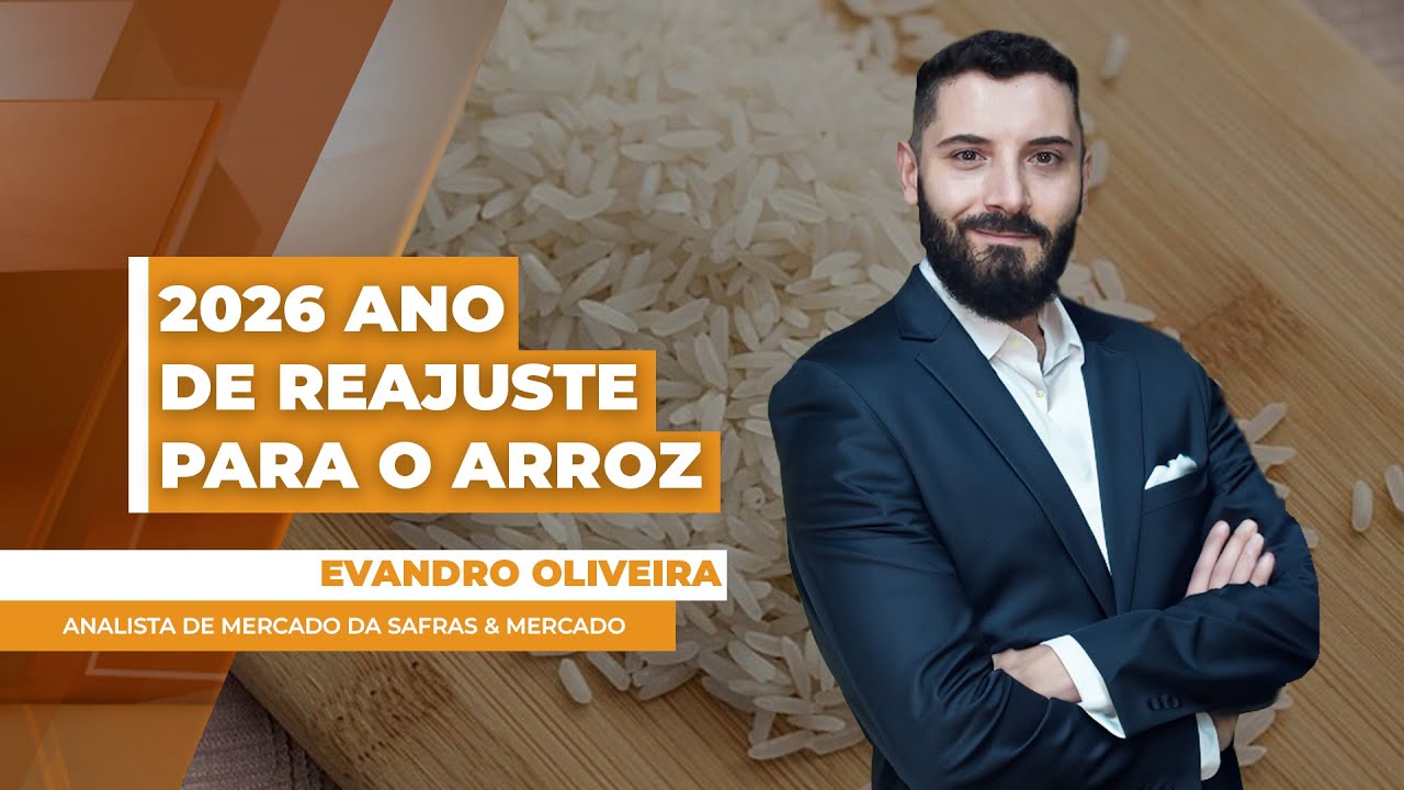 Brasil deve colher próximo de 10,7 milhões de toneladas de arroz e ter 2026 de reajuste do mercado