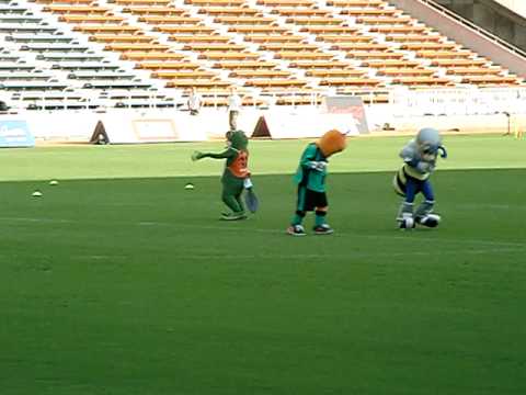 「[ハプニング]サッカーJ2 愛媛の準マスコットキャラであるカエルの一平くんが熱中症」のイメージ