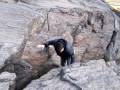 videos de Mision Imposible 4