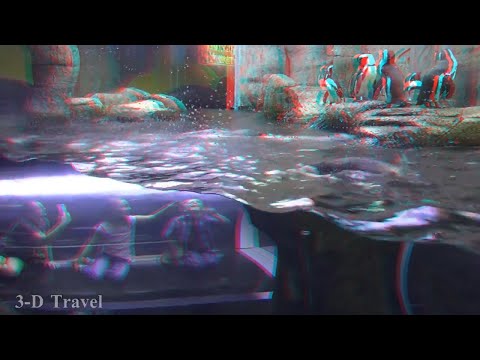 ANAGLYPH 3D RIPLEY'S AQUARIUM OF THE SMOKIES Gatlinburg, Tennessee - YouTube