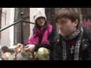 Wildbirds & Peacedrums - The Window Wildbirds & Peacedrums - The Window