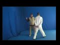Dr. Marcus Brinkman Bagua Instructional Clip #4, Dai