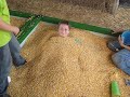 Playing in the Corn Boxes at Donnell Century Farm Playing in the Corn Boxes at Donnell Century Farm