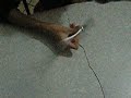 Pen Spin Combo Pen Spin Combo
