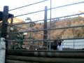Postcards from the USA Part 2- Hollywood