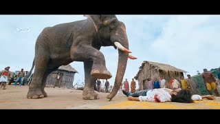 Elephant Is Waking Up Yash To Hit Rowdies Super Sc