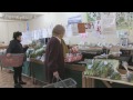 After the Tsunami - Japan