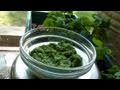 Pudina (Mint) Chutney (Pesto)