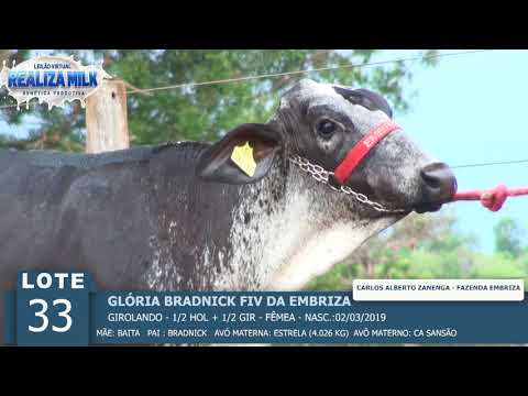 LOTE 33 - GLÃ“RIA BRADNICK FIV -