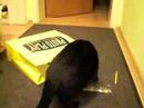 Lara und Gismo und die Photoplay T�te Part 5