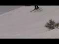 Bear Skiercross Bear Skiercross