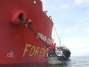 Greenpeace stops palm oil shipments from leaving Indonesia