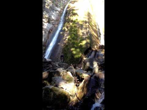 Falls Trail at Limekiln State Park