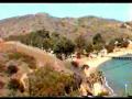 videos de Caretta02
