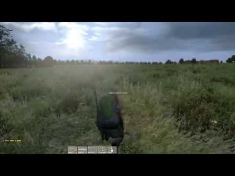 how to repair broken bones dayz