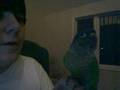 clip video Bredelers DANCING GREEN