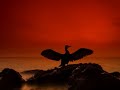 Tranquil Islamic Arabic Nasheed - Amazingly Peaceful!!